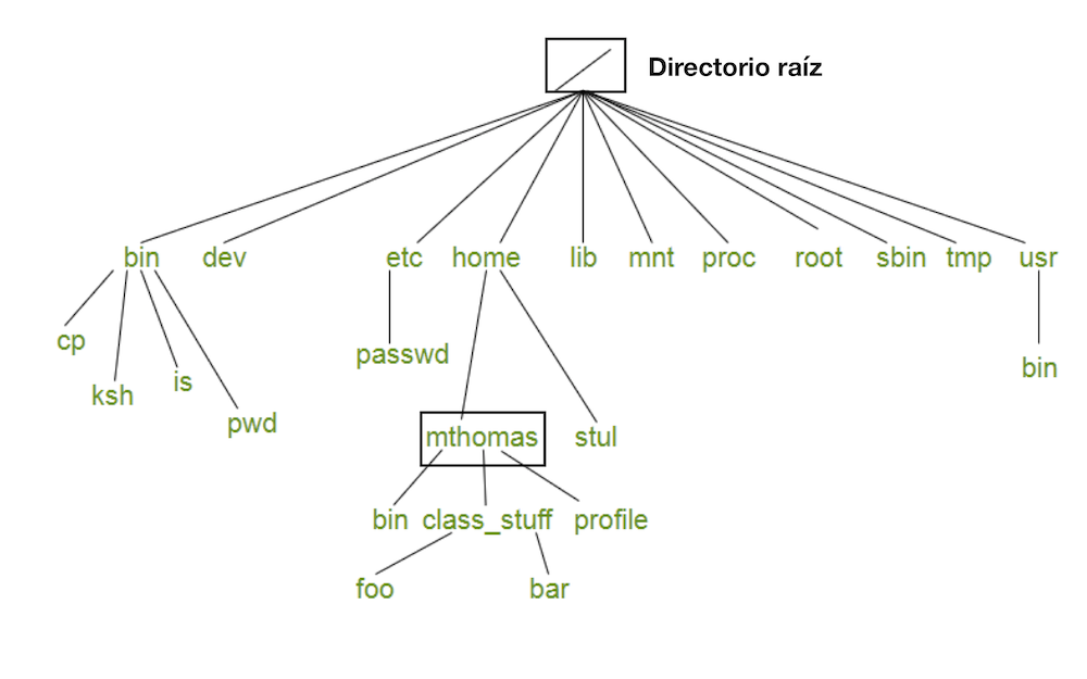 Files tree