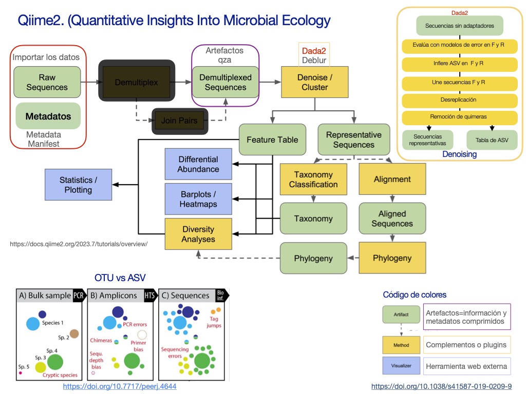 Qiime workflow